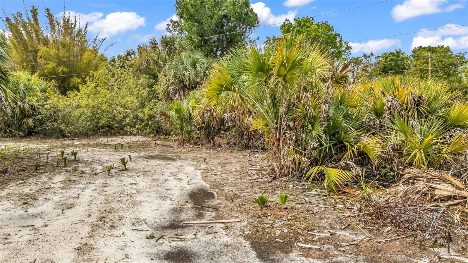 24789 NOVA LN, PUNTA GORDA, FL — photo 16