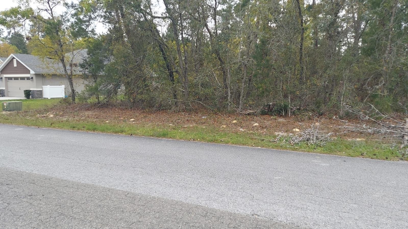 3 TALL MARIGOLDS CT,, HOMOSASSA, FL