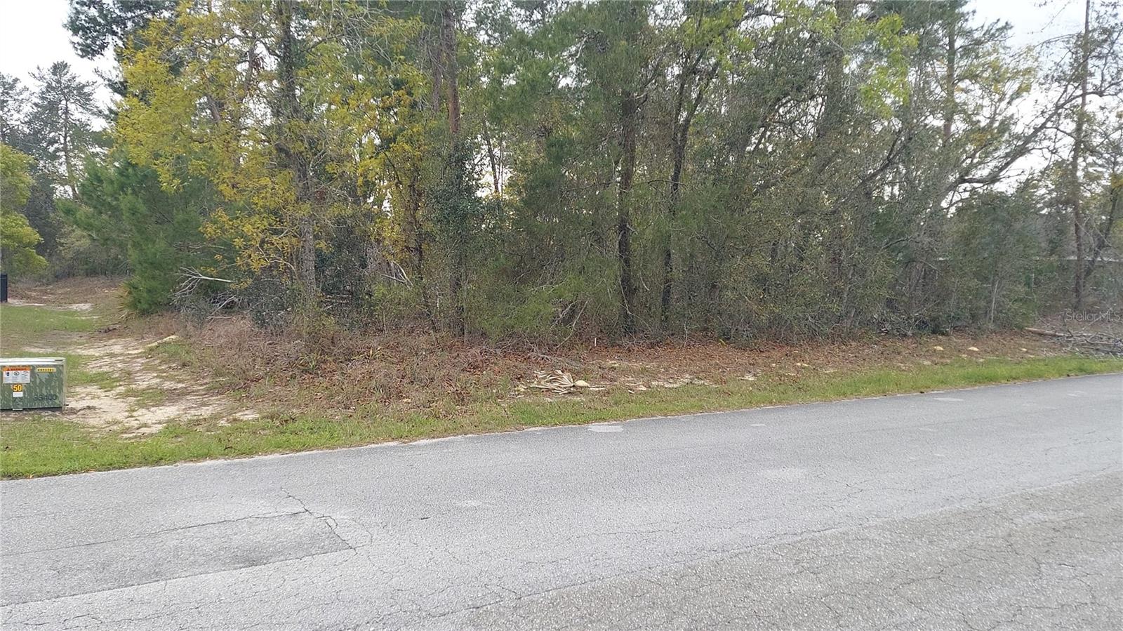3 TALL MARIGOLDS CT,, HOMOSASSA, FL — photo 2