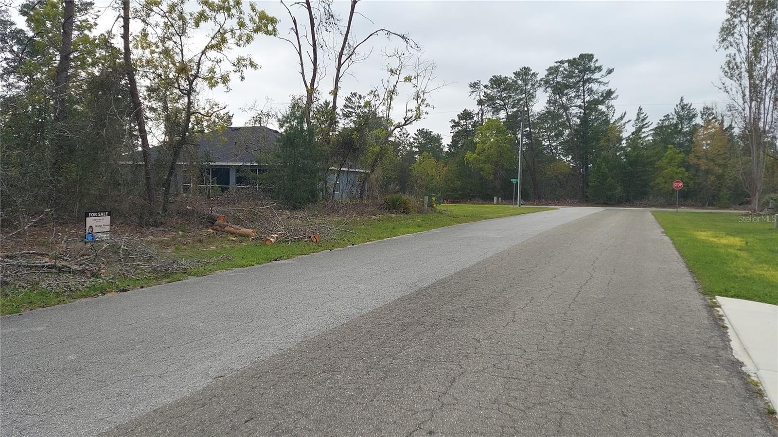 3 TALL MARIGOLDS CT,, HOMOSASSA, FL — photo 3