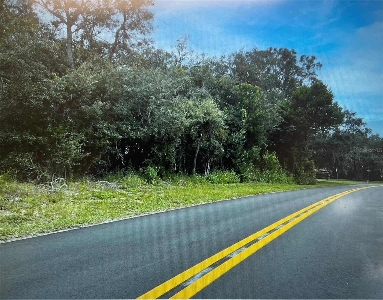 3 TALL MARIGOLDS CT,, HOMOSASSA, FL — photo 4