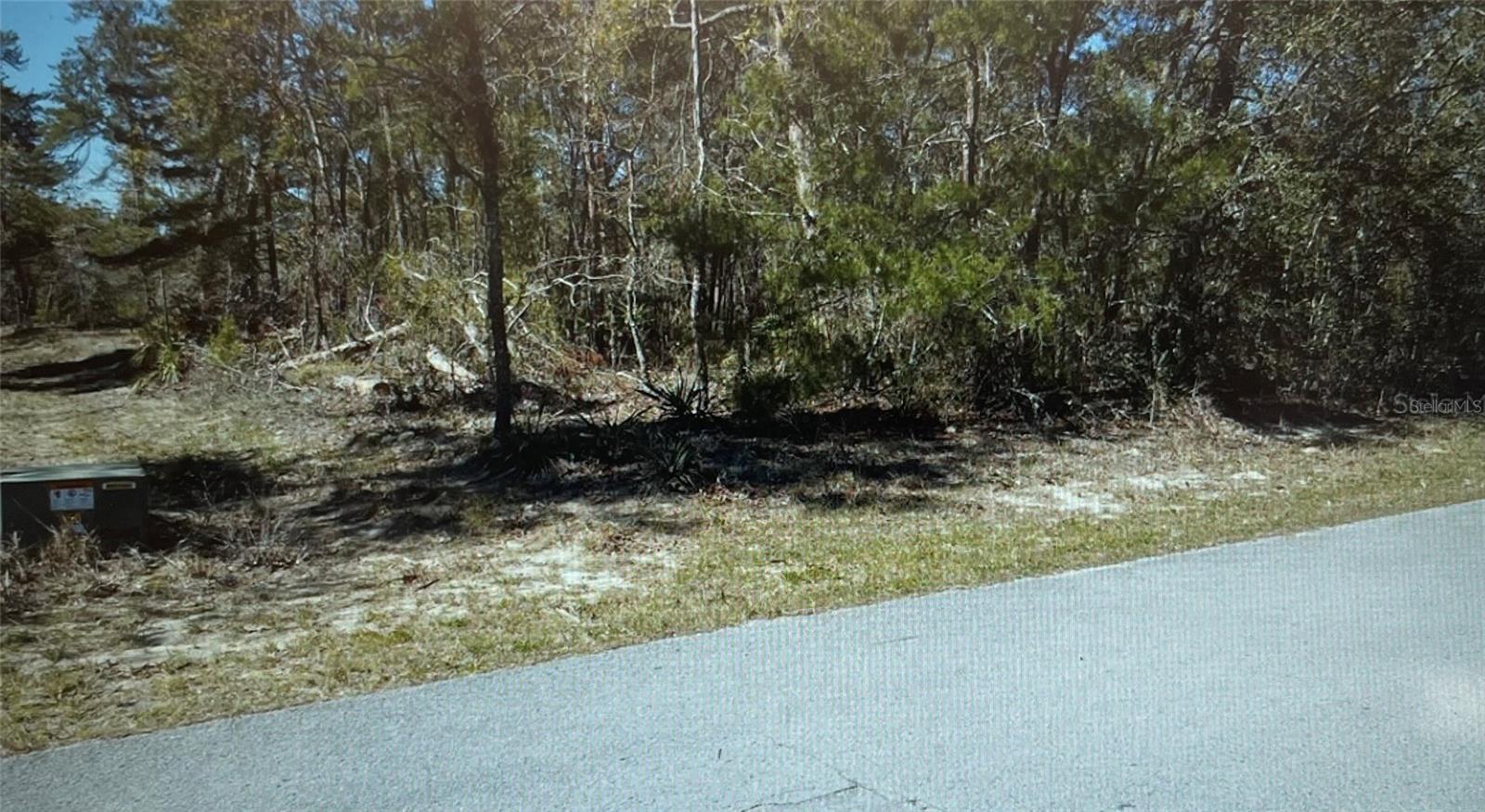 3 TALL MARIGOLDS CT,, HOMOSASSA, FL — photo 5
