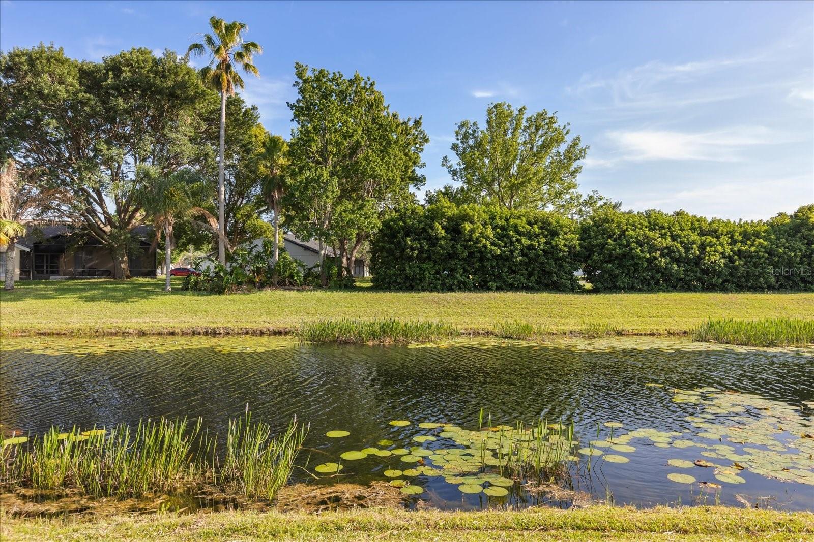 5332 DORRINGTON LN, ORLANDO, FL — photo 28