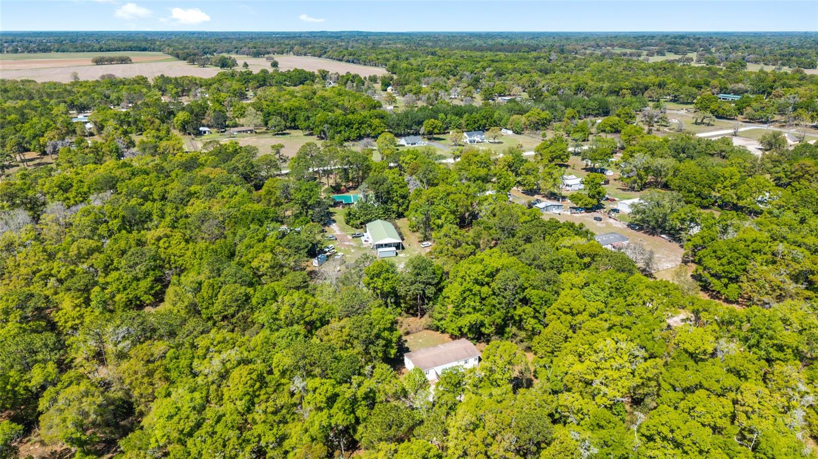 8415 SW 41ST PLACE RD, OCALA, FL — photo 46