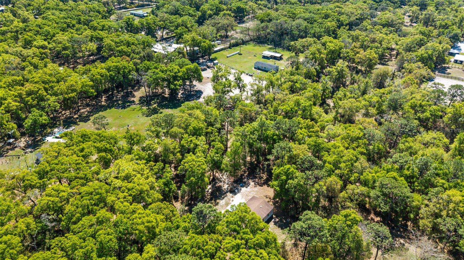 8415 SW 41ST PLACE RD, OCALA, FL — photo 47