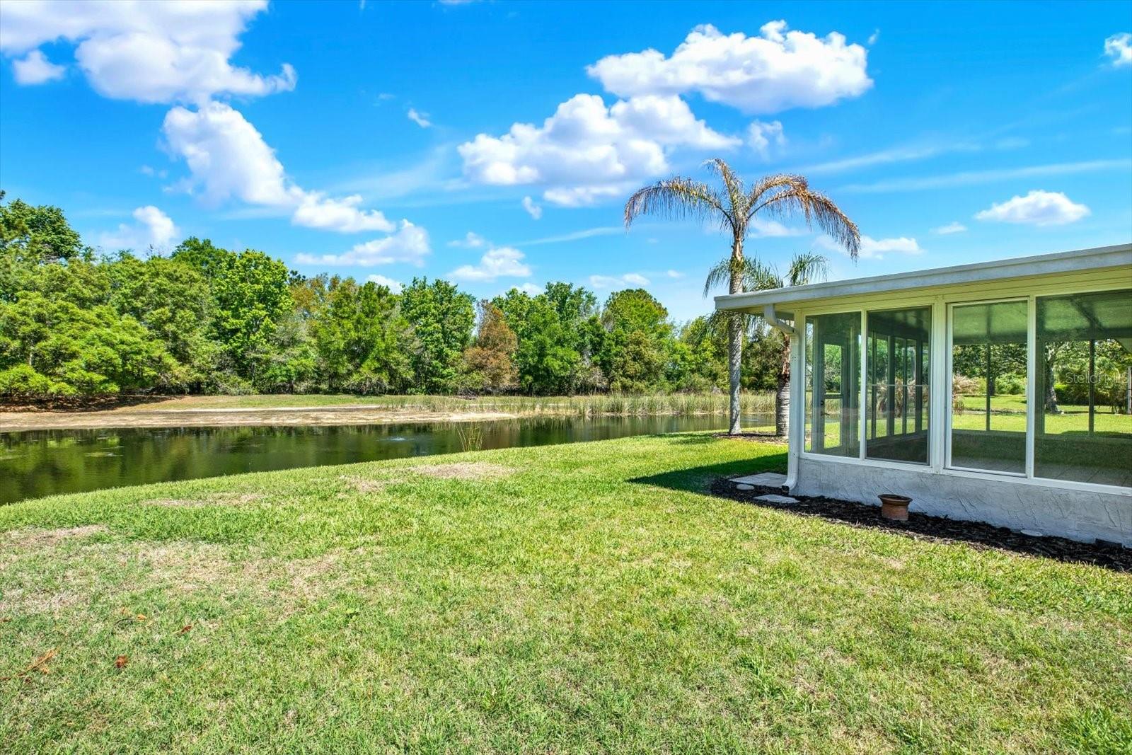 29451 SCHINNECOCK HILLS LN, SAN ANTONIO, FL — photo 42