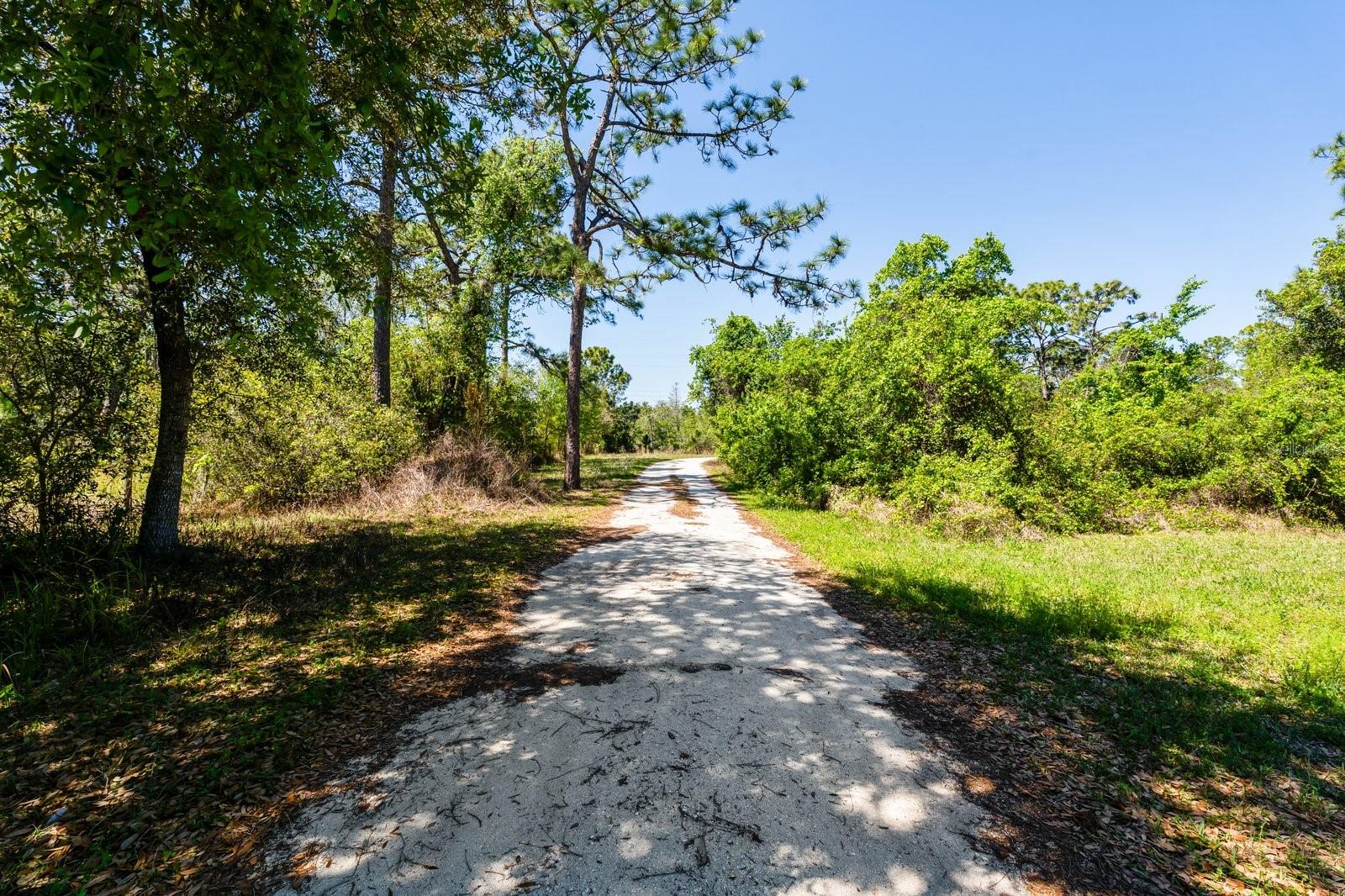 2727 ABSHER RD, ST CLOUD, FL — photo 11