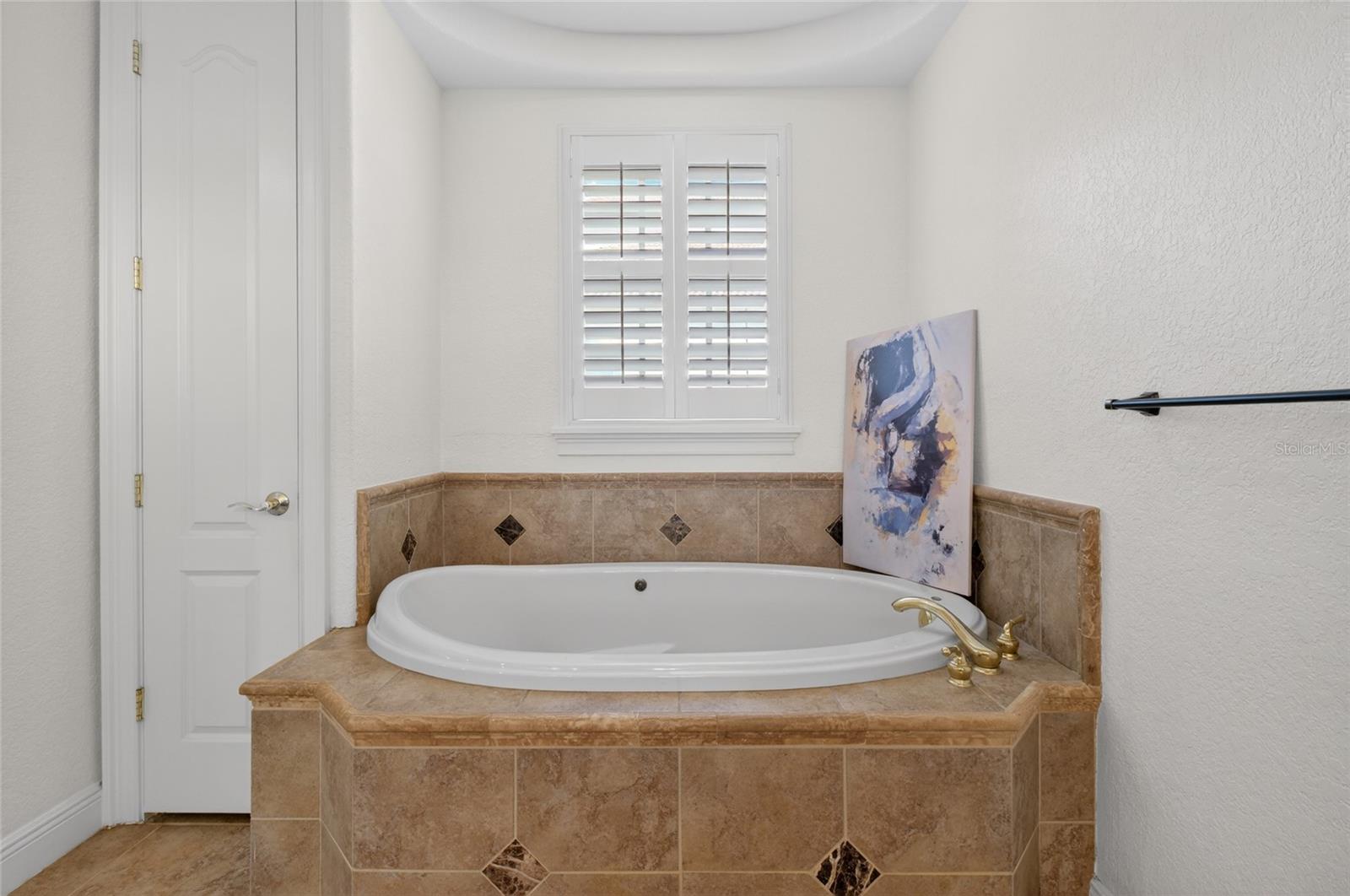 11226 MACAW CT, WINDERMERE, FL — photo 26