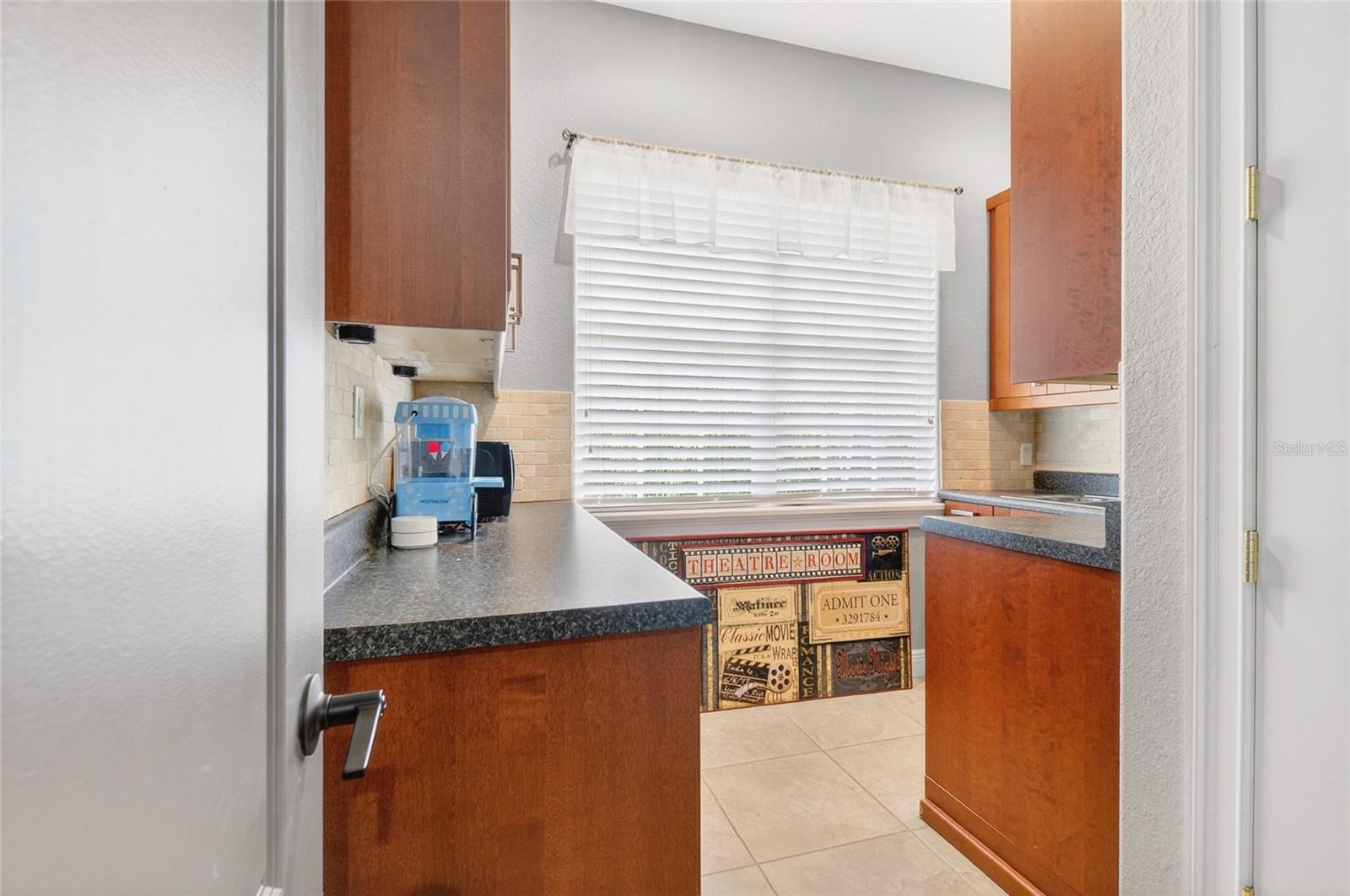 11226 MACAW CT, WINDERMERE, FL — photo 54