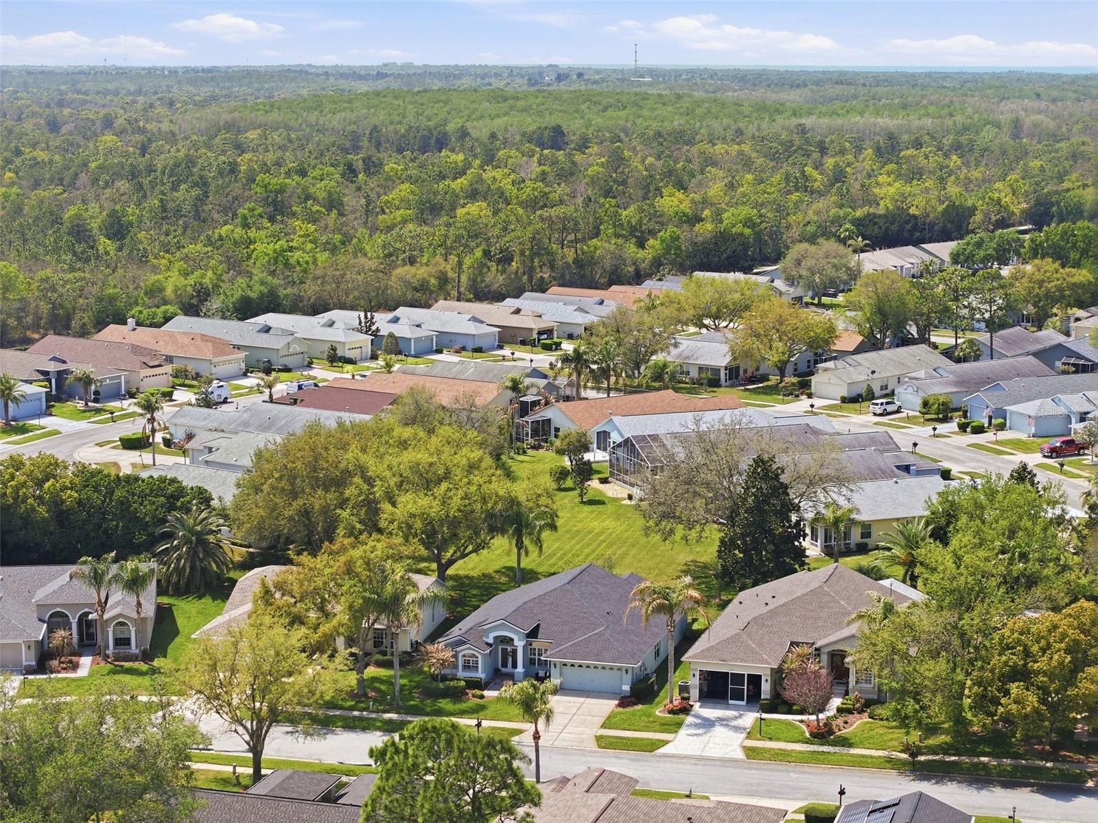 11408 ALDEN CT, HUDSON, FL — photo 19