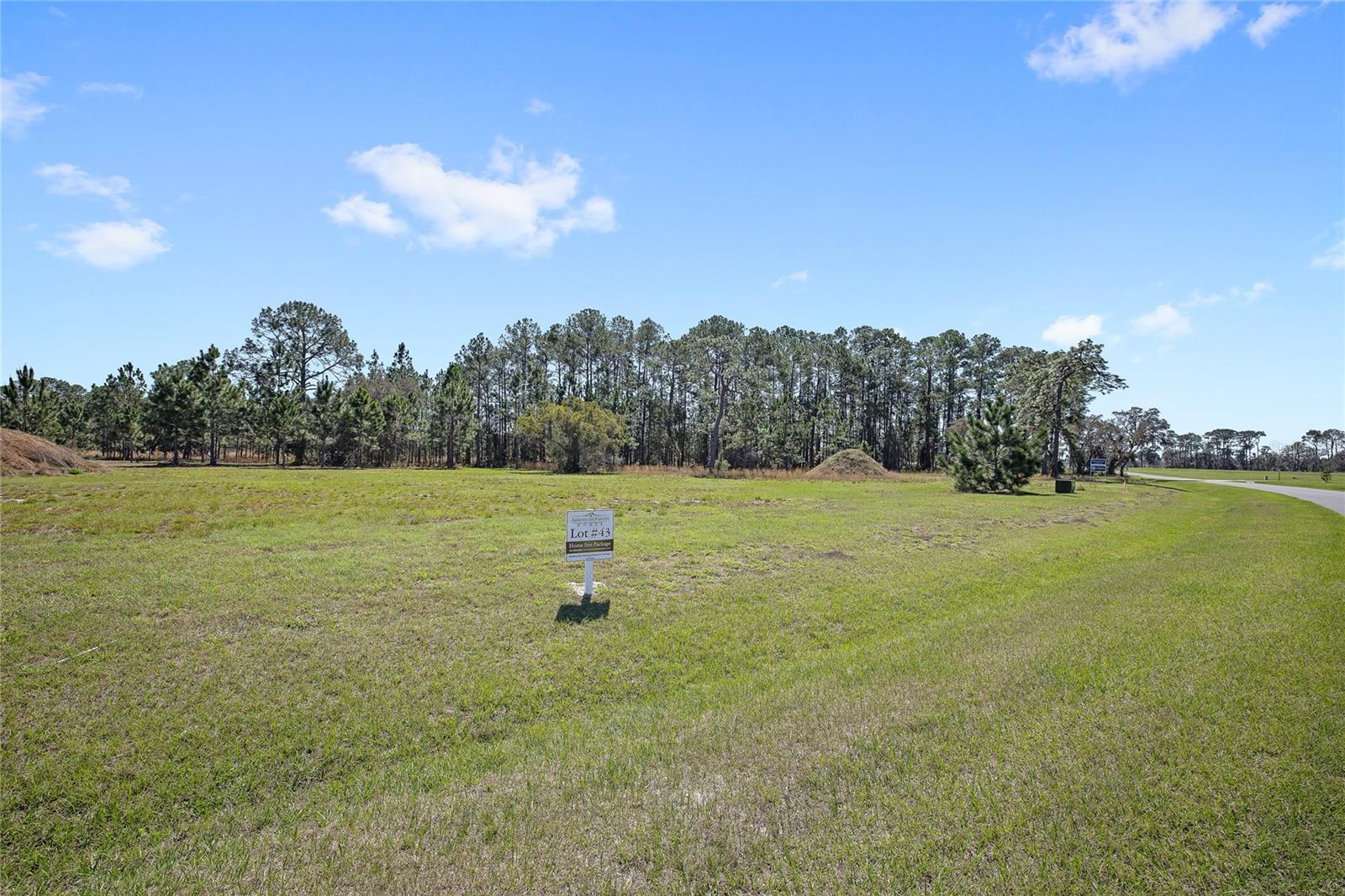38514 WOODED MEADOW DR, UMATILLA, FL — photo 7