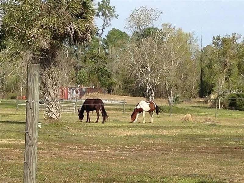 54523 ASTOR TRANSFER STATION RD, ASTOR, FL — photo 55