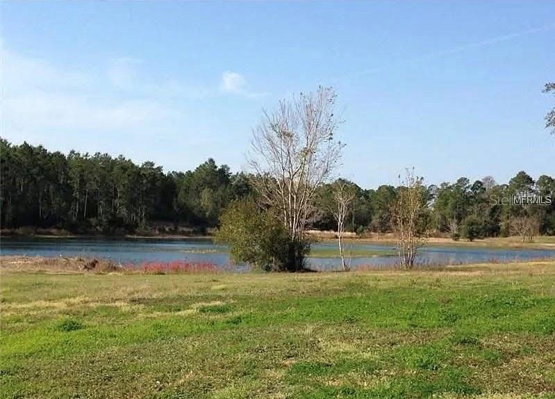 54523 ASTOR TRANSFER STATION RD, ASTOR, FL — photo 58