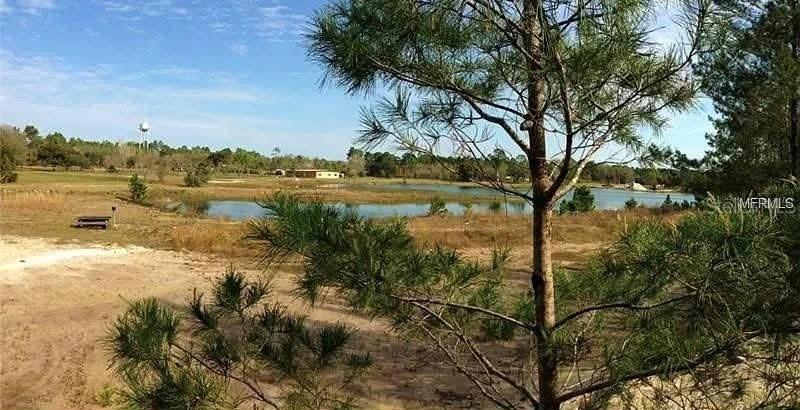 54523 ASTOR TRANSFER STATION RD, ASTOR, FL — photo 59