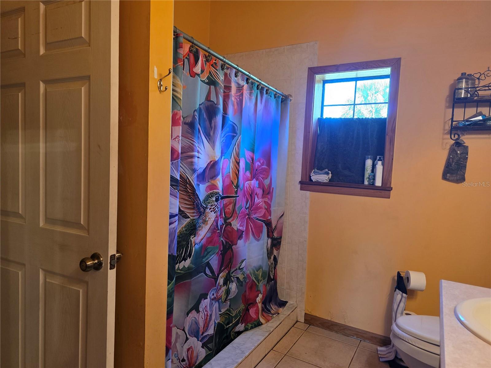 54523 ASTOR TRANSFER STATION RD, ASTOR, FL — photo 27