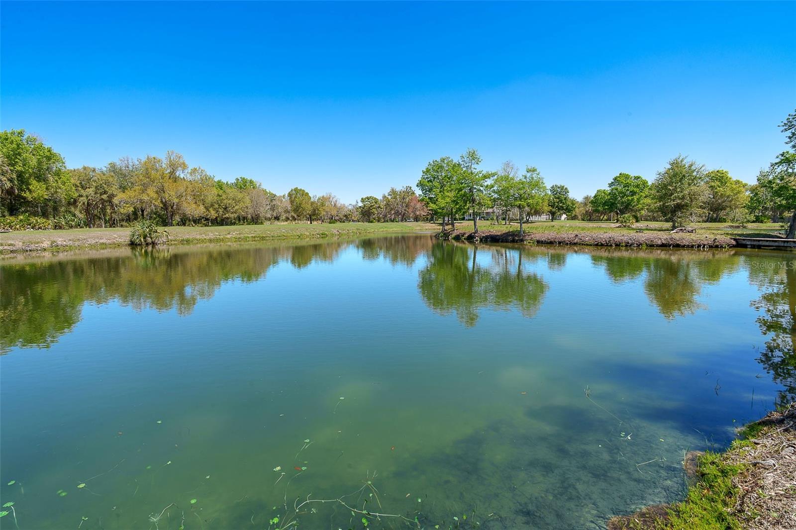 9299 SW LIPE RD, ARCADIA, FL — photo 53