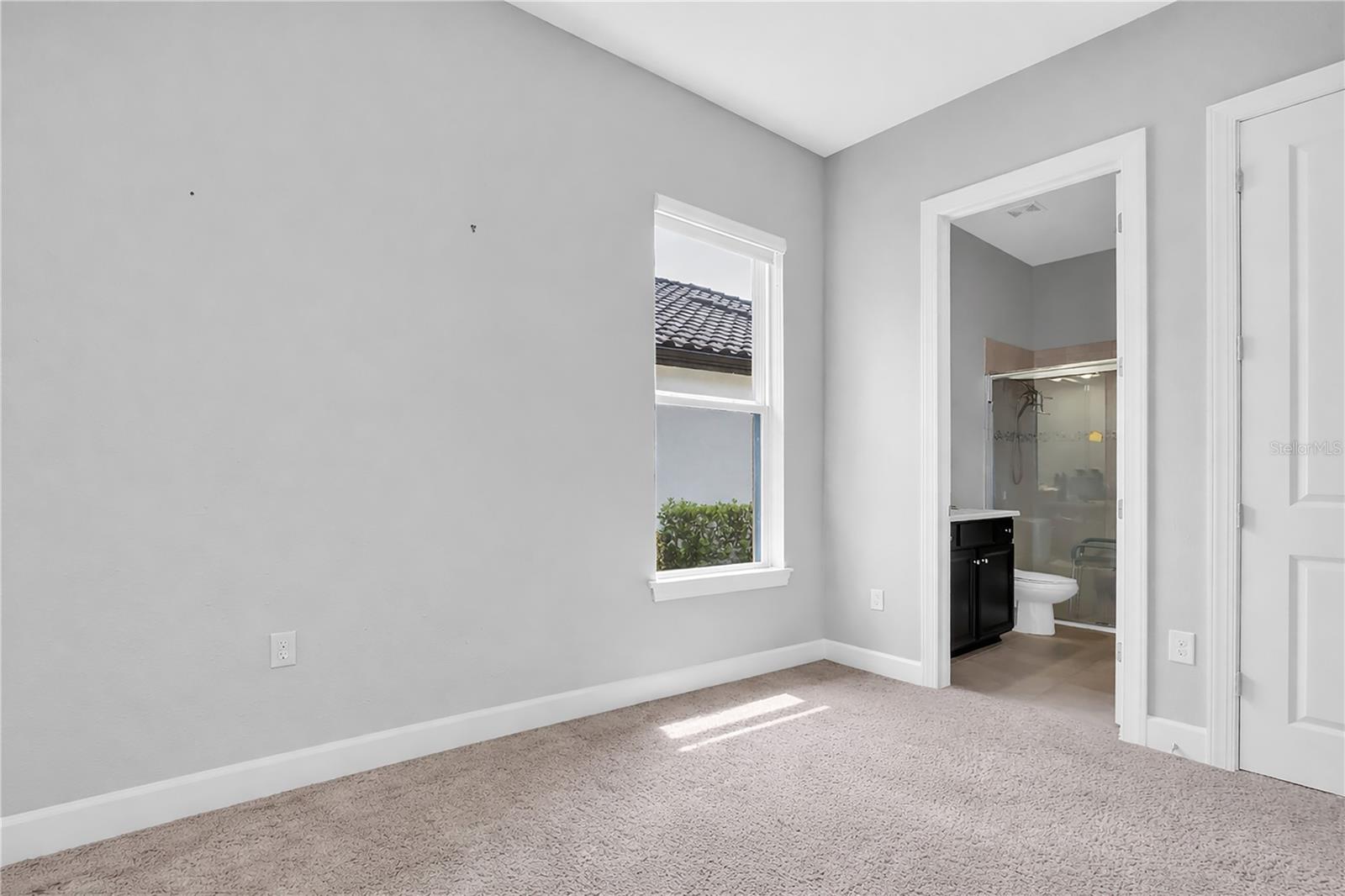 20161 UMBRIA HILL DR, TAMPA, FL — photo 41