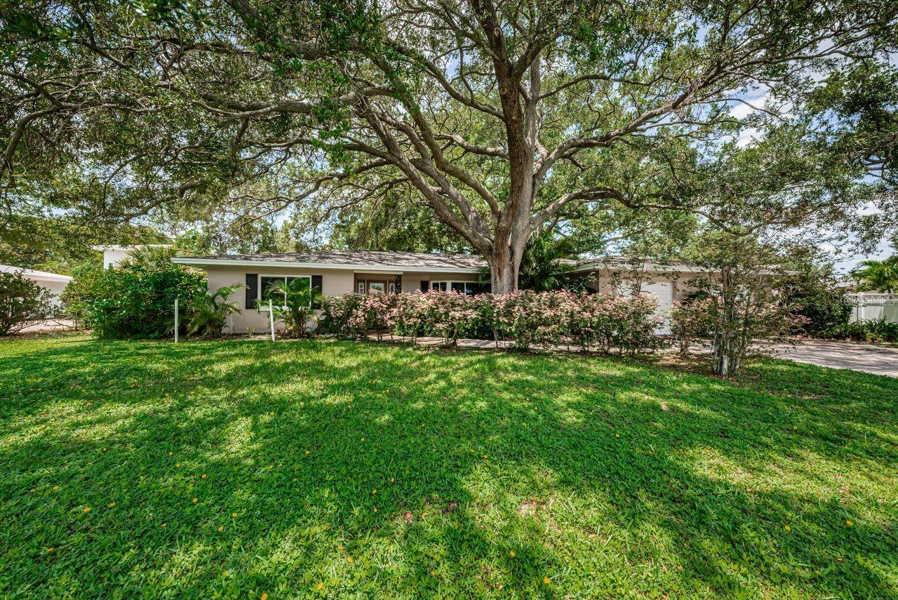 1704 CYPRESS AVE, BELLEAIR, FL — photo 2