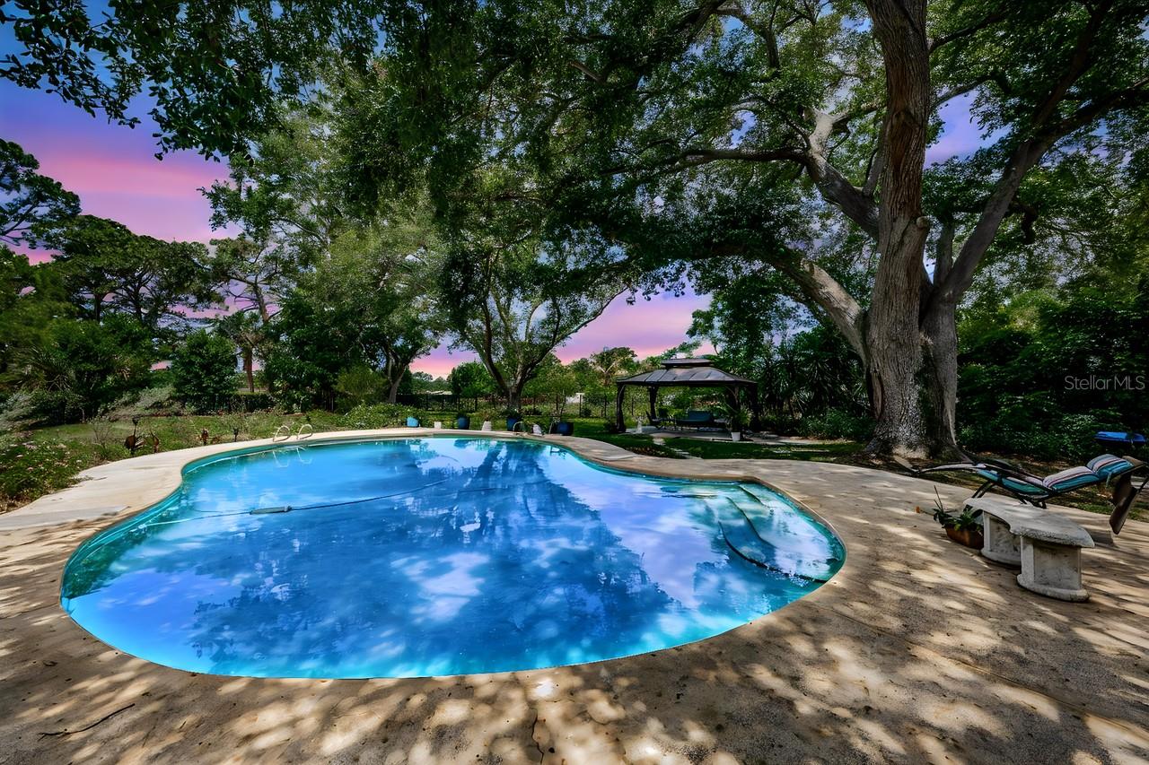 1704 CYPRESS AVE, BELLEAIR, FL — photo 42