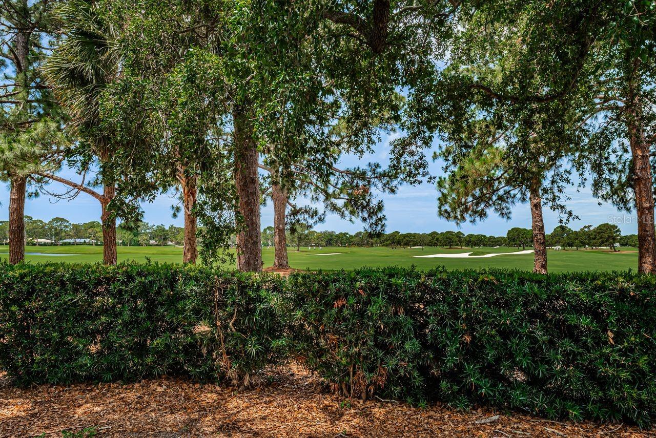 1704 CYPRESS AVE, BELLEAIR, FL — photo 48