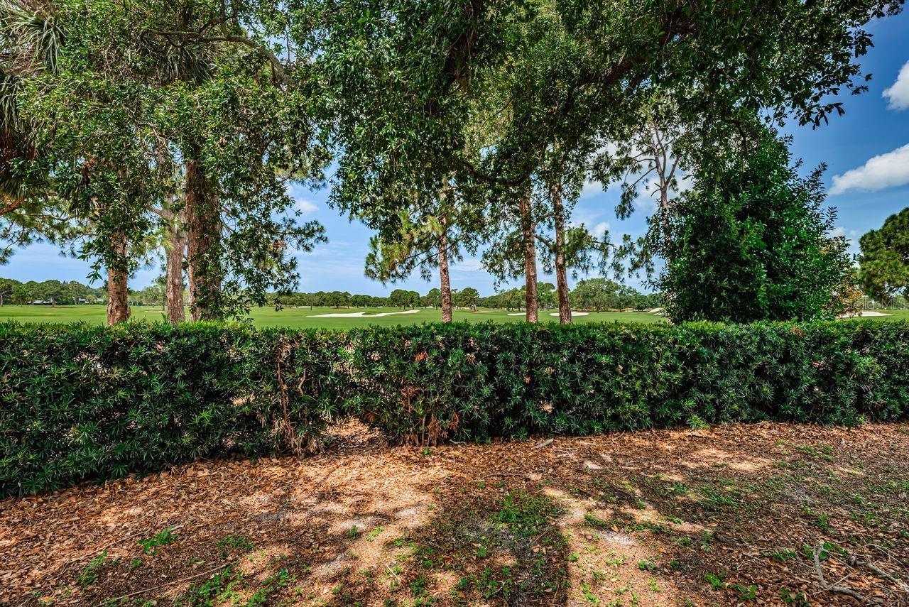 1704 CYPRESS AVE, BELLEAIR, FL — photo 50