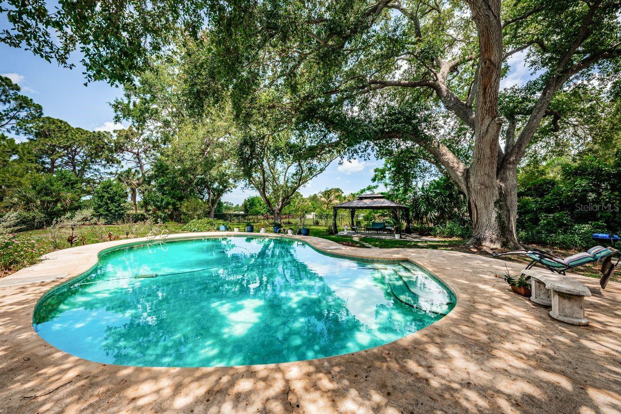 1704 CYPRESS AVE, BELLEAIR, FL — photo 51