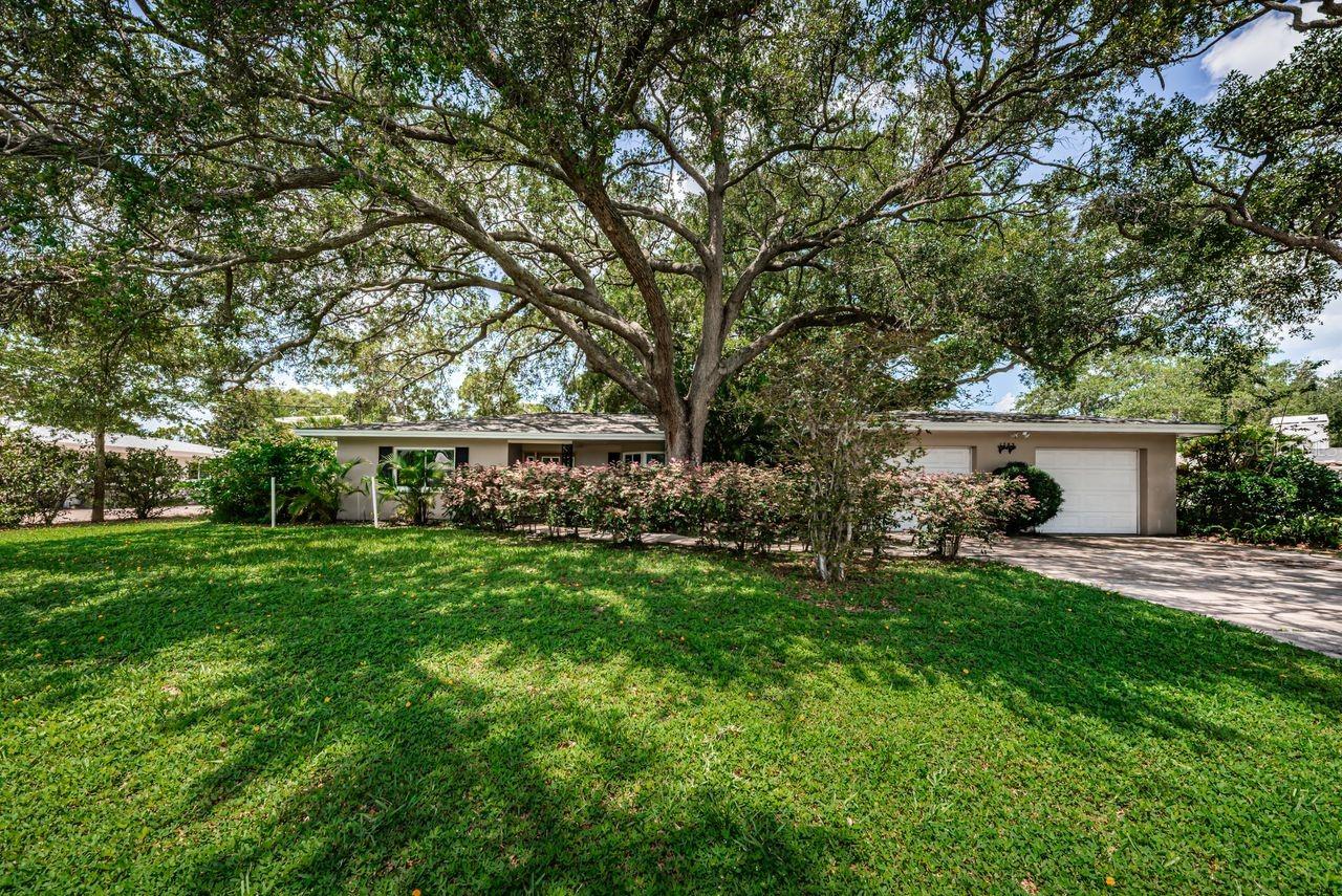 1704 CYPRESS AVE, BELLEAIR, FL — photo 65