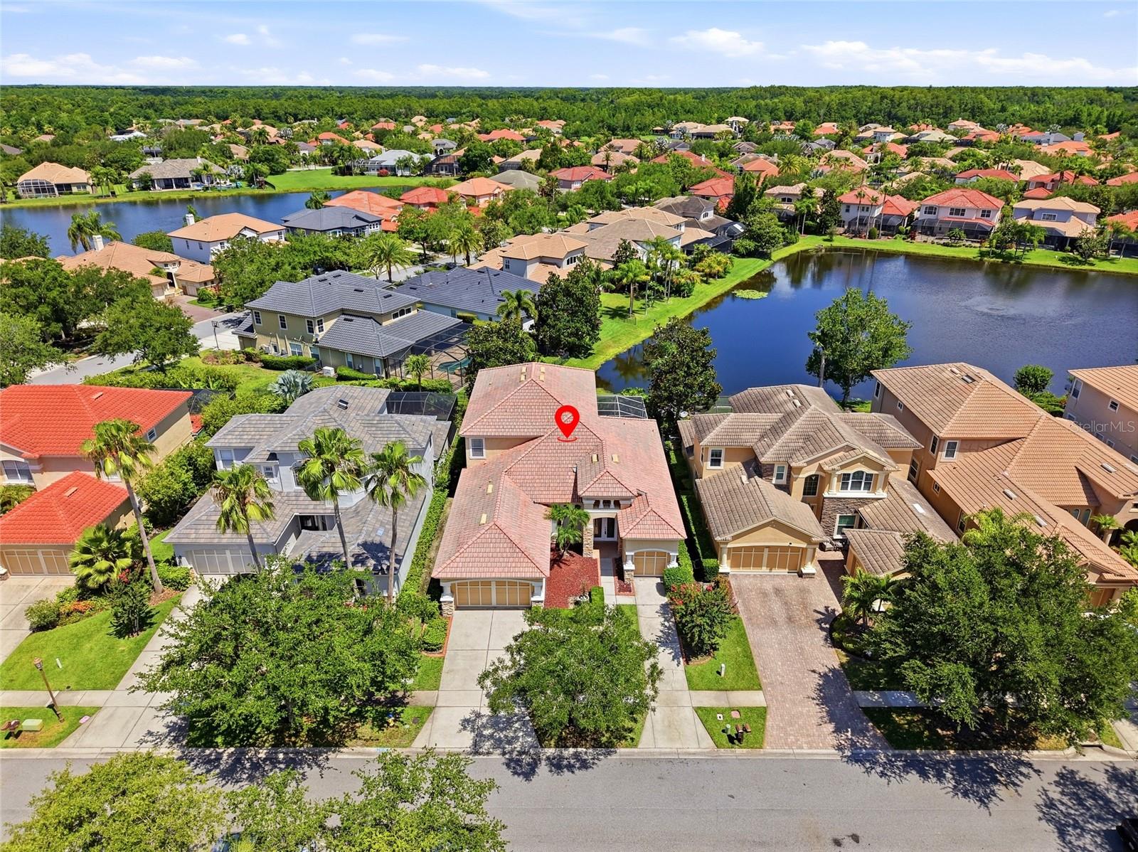 11637 BRISTOL CHASE DR, TAMPA, FL — photo 68