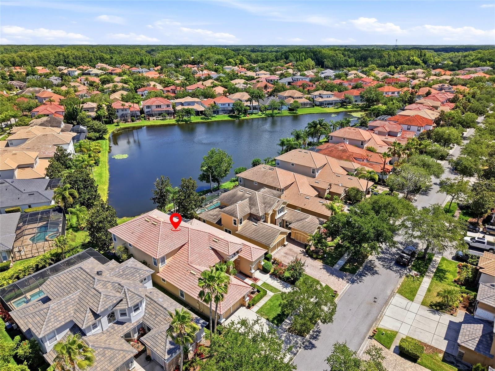 11637 BRISTOL CHASE DR, TAMPA, FL — photo 69