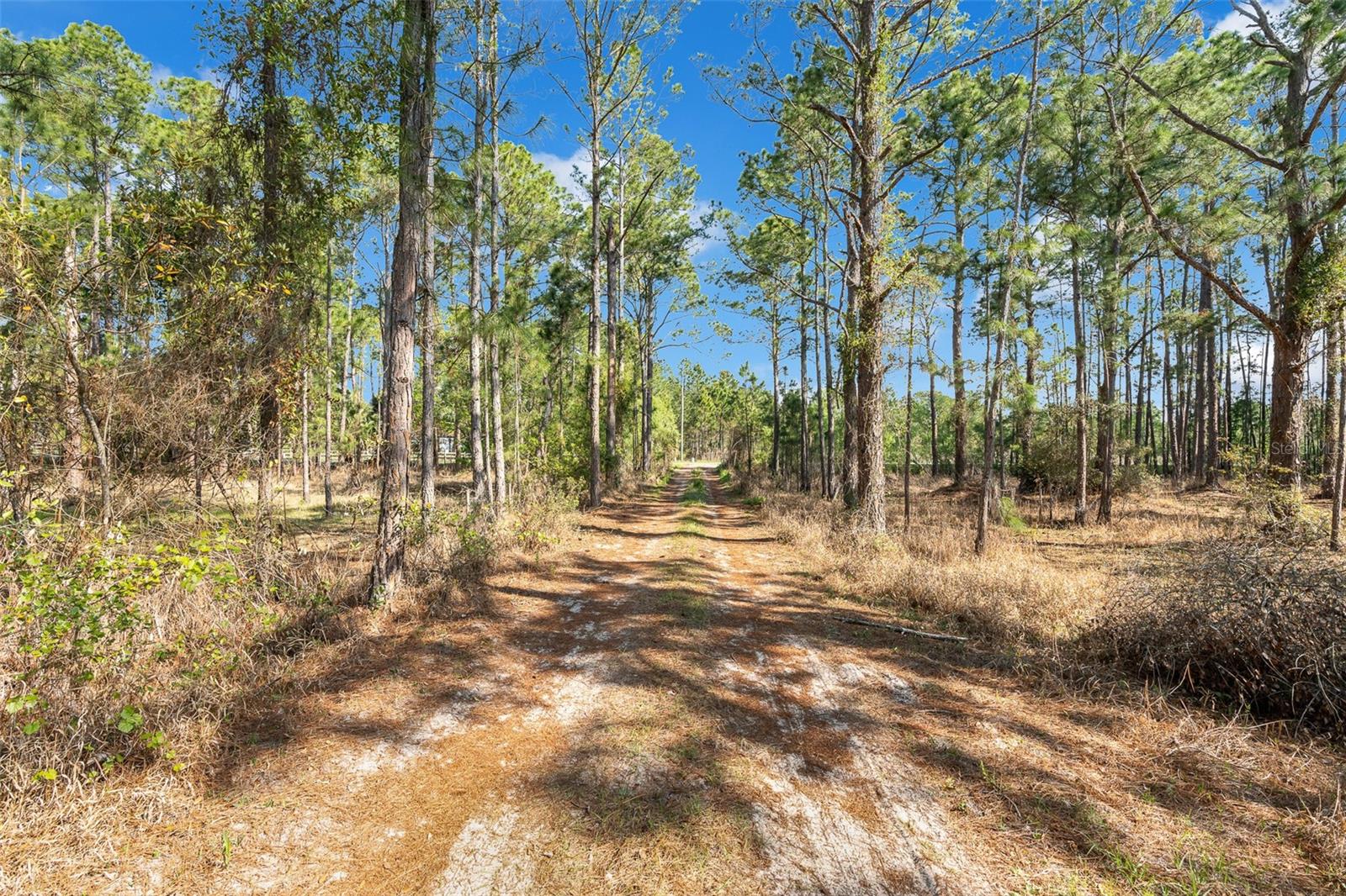 32404 HIGHLAND LAKES RD, DELAND, FL — photo 42