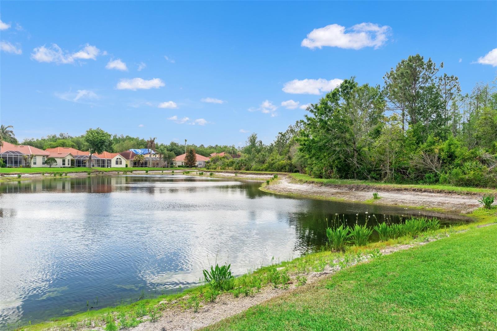 17905 ARBOR GREENE DR, TAMPA, FL — photo 66