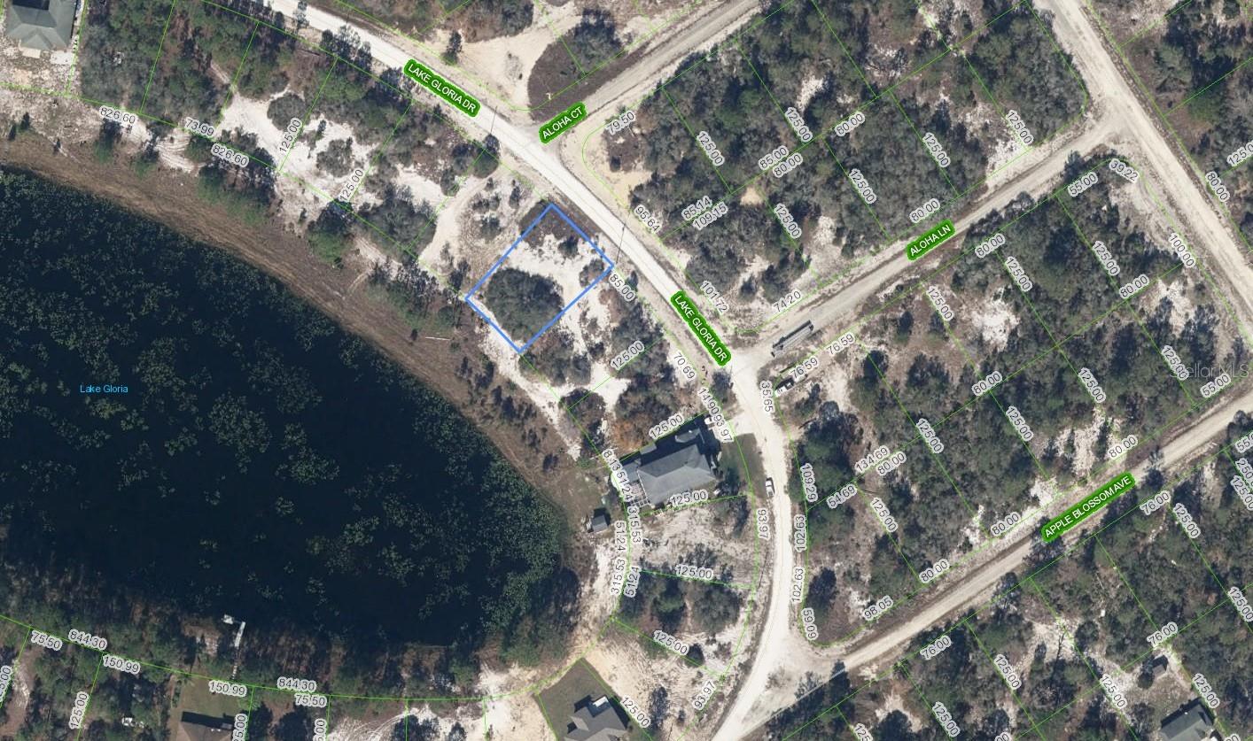 454 LAKE GLORIA DR, LAKE PLACID, FL