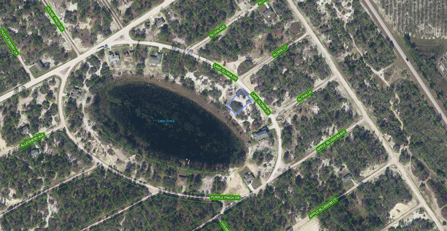 454 LAKE GLORIA DR, LAKE PLACID, FL — photo 3