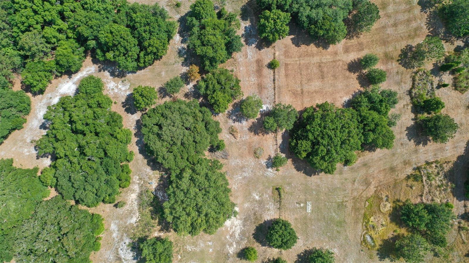 14815 SHERROD CROFT LN, DADE CITY, FL — photo 10