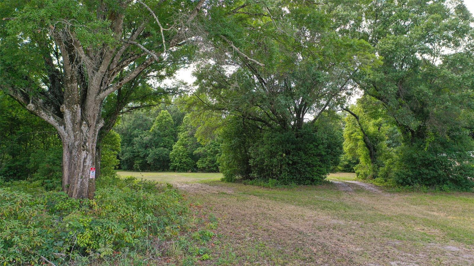 14815 SHERROD CROFT LN, DADE CITY, FL — photo 11