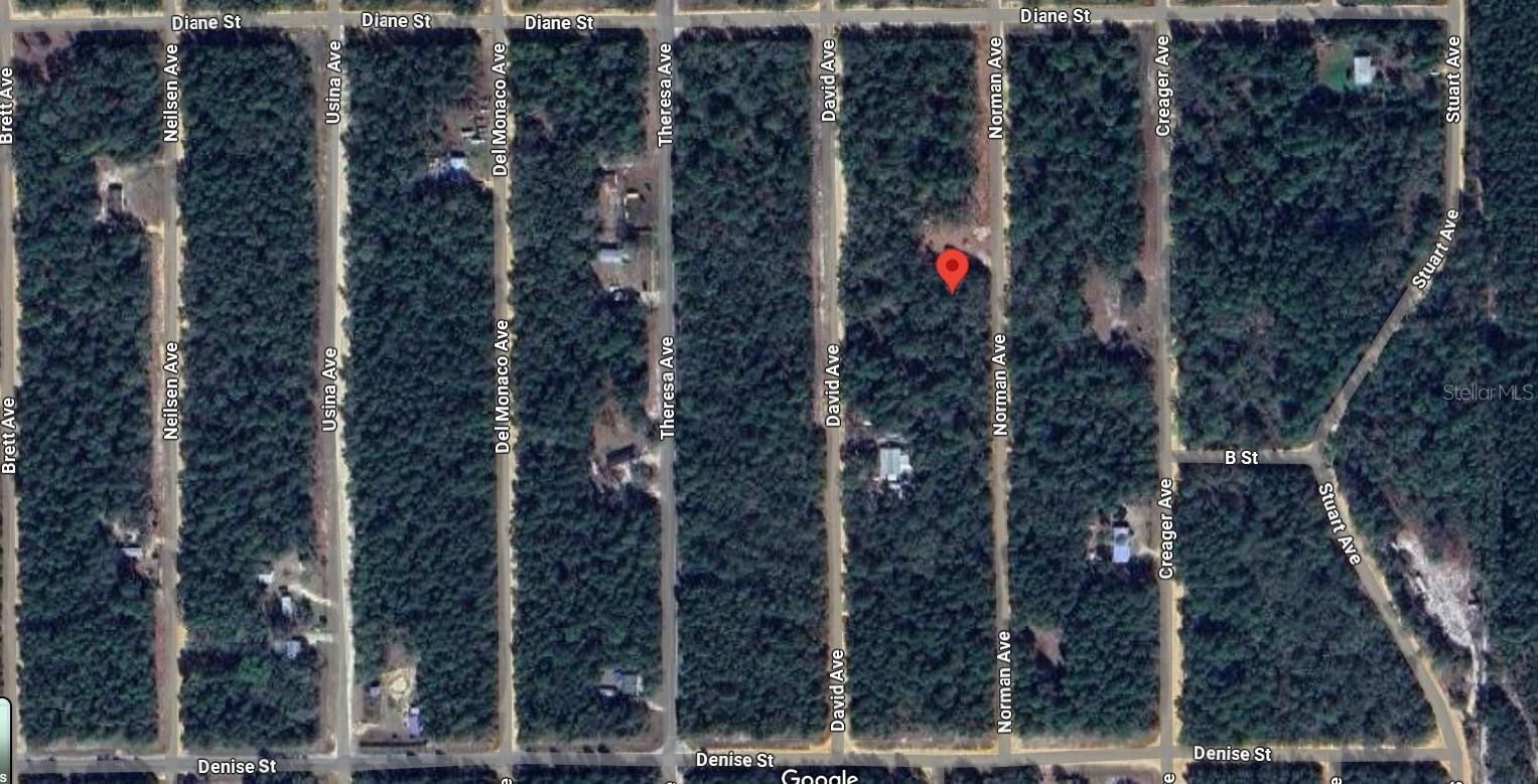 , INTERLACHEN, FL — photo 3