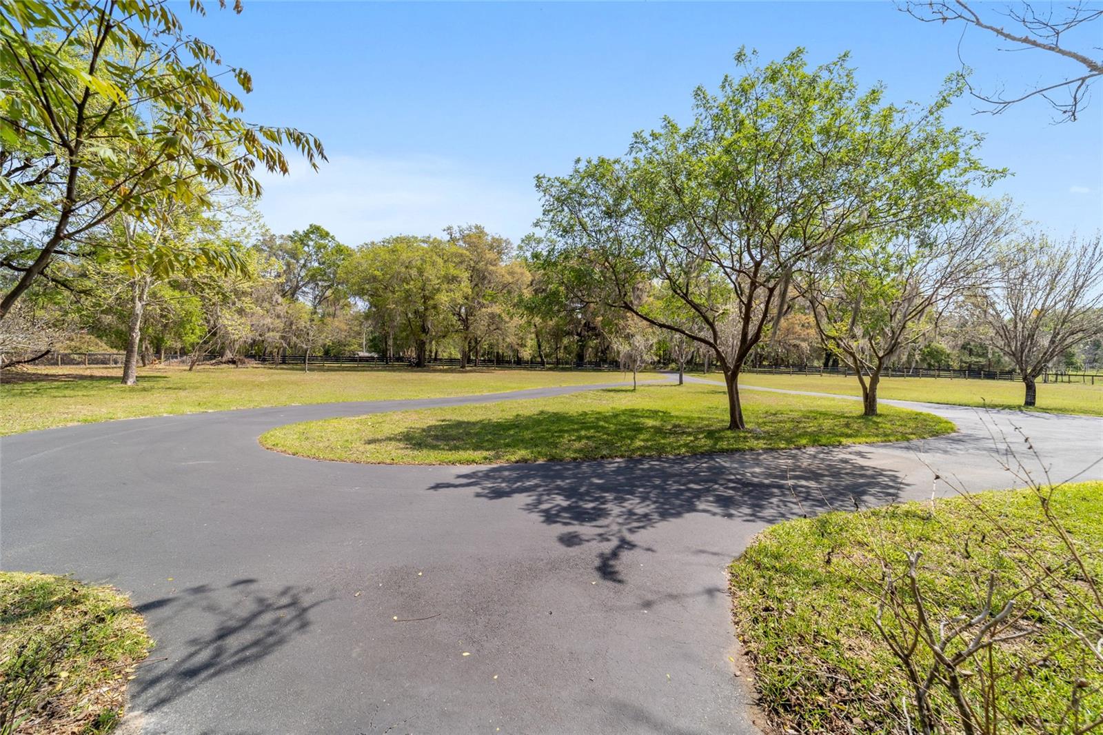 16638 N HIGHWAY 329, REDDICK, FL — photo 13