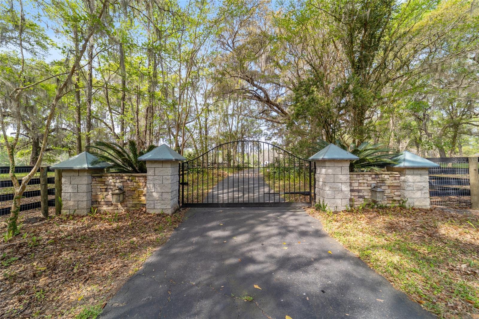 16638 N HIGHWAY 329, REDDICK, FL — photo 12