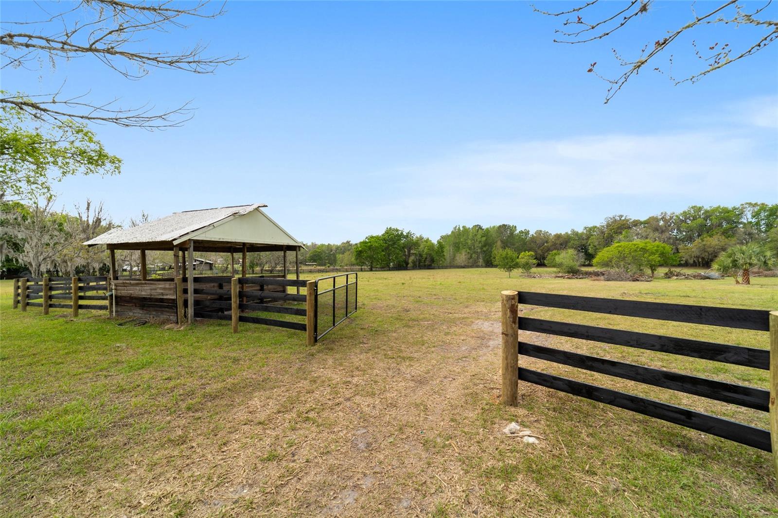 16638 N HIGHWAY 329, REDDICK, FL — photo 76