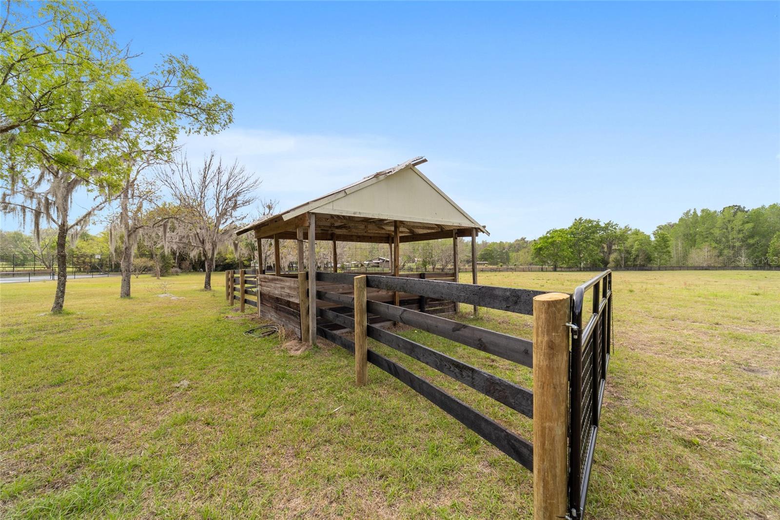 16638 N HIGHWAY 329, REDDICK, FL — photo 77