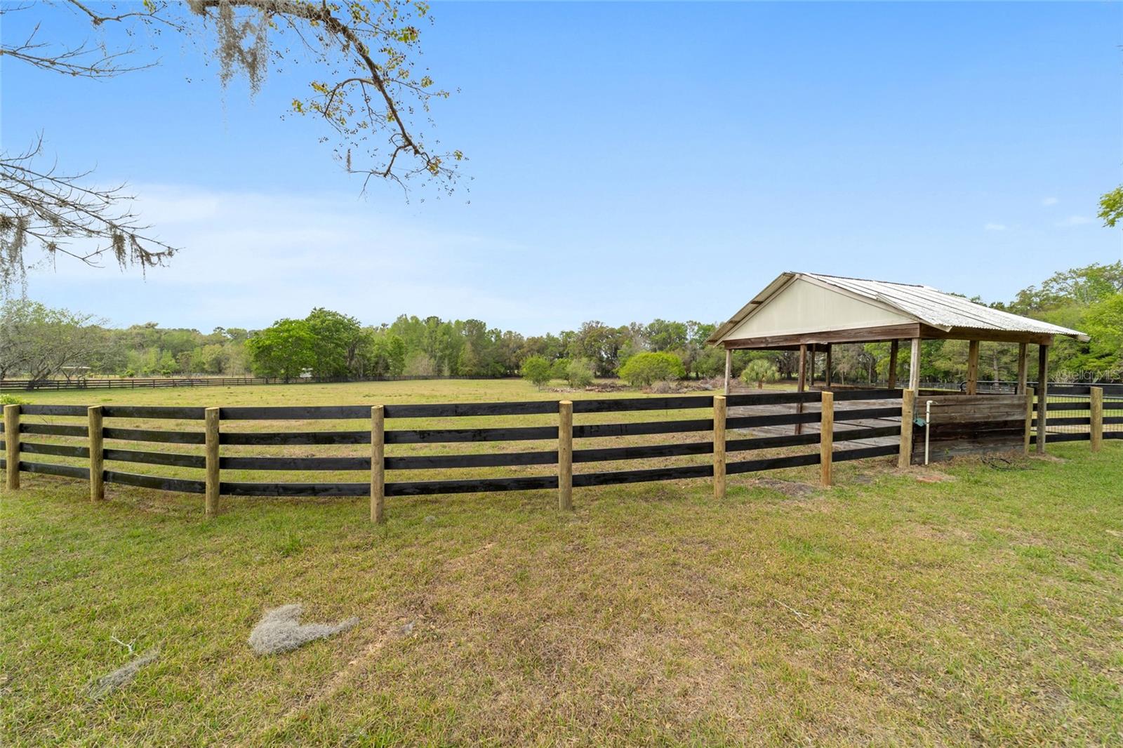 16638 N HIGHWAY 329, REDDICK, FL — photo 78