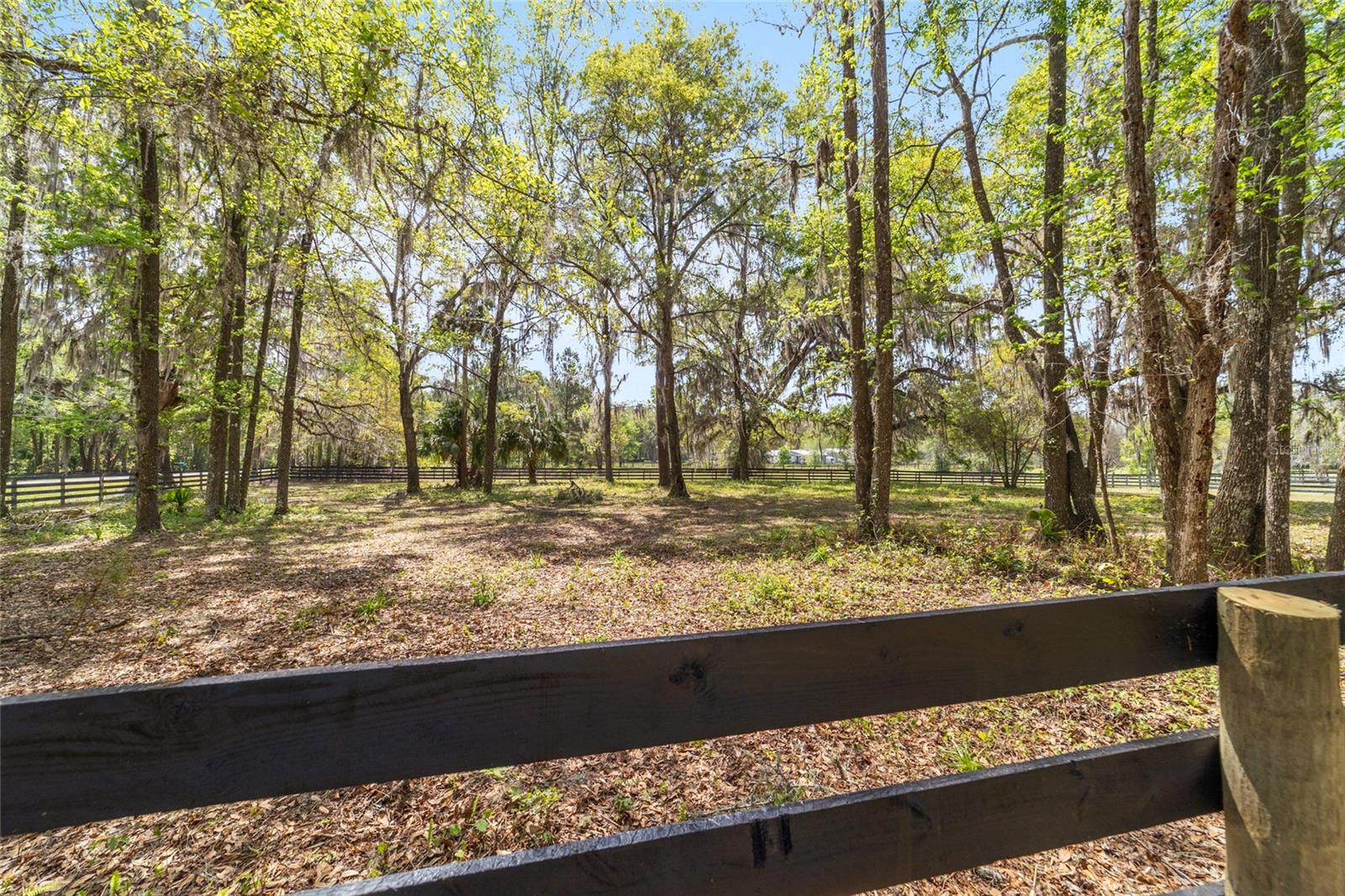16638 N HIGHWAY 329, REDDICK, FL — photo 81