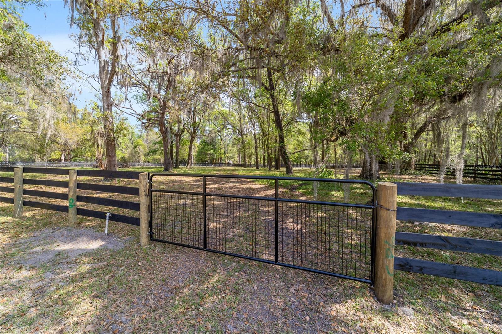 16638 N HIGHWAY 329, REDDICK, FL — photo 82