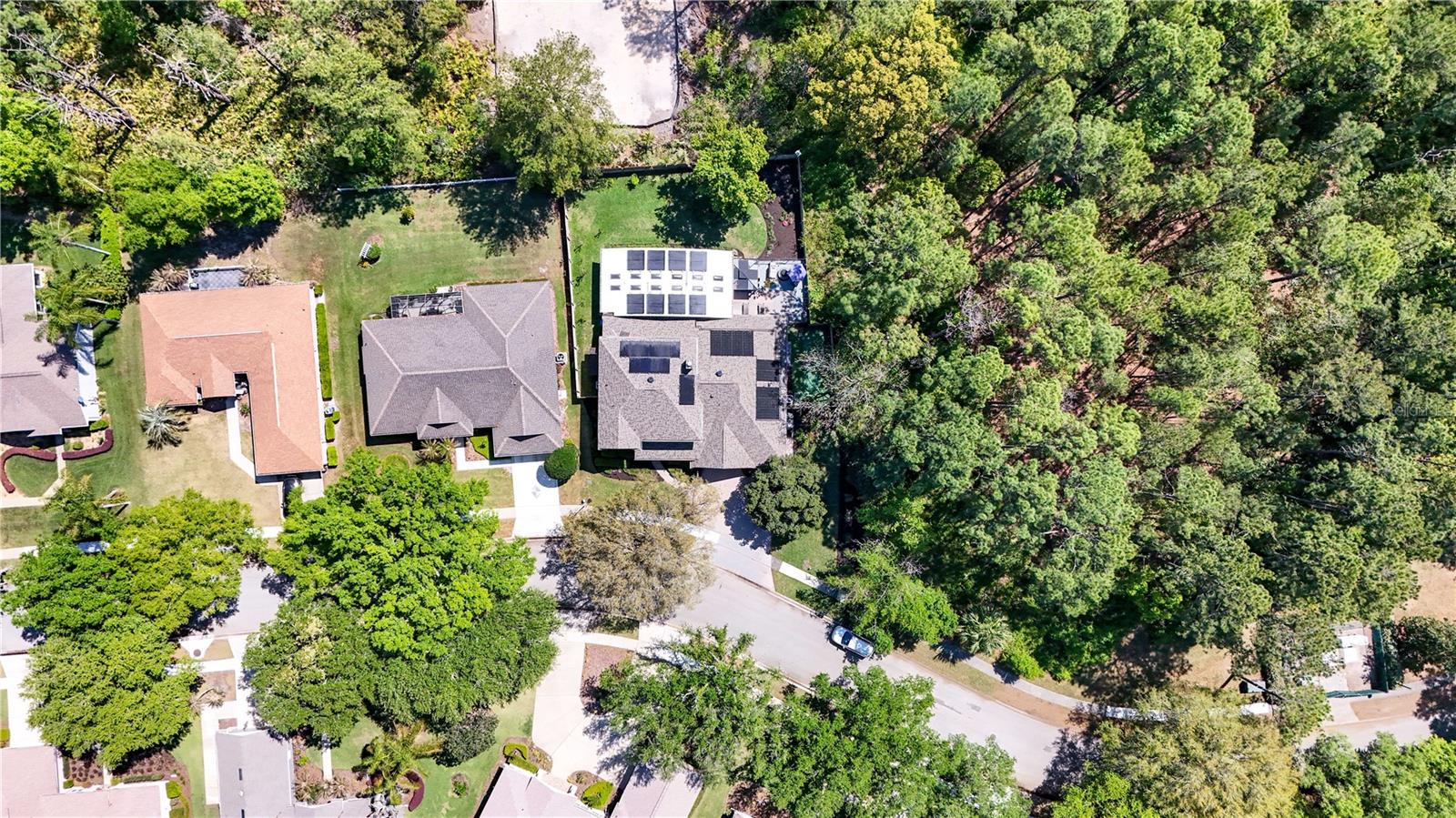 2040 PARK FOREST BLVD, MOUNT DORA, FL — photo 131