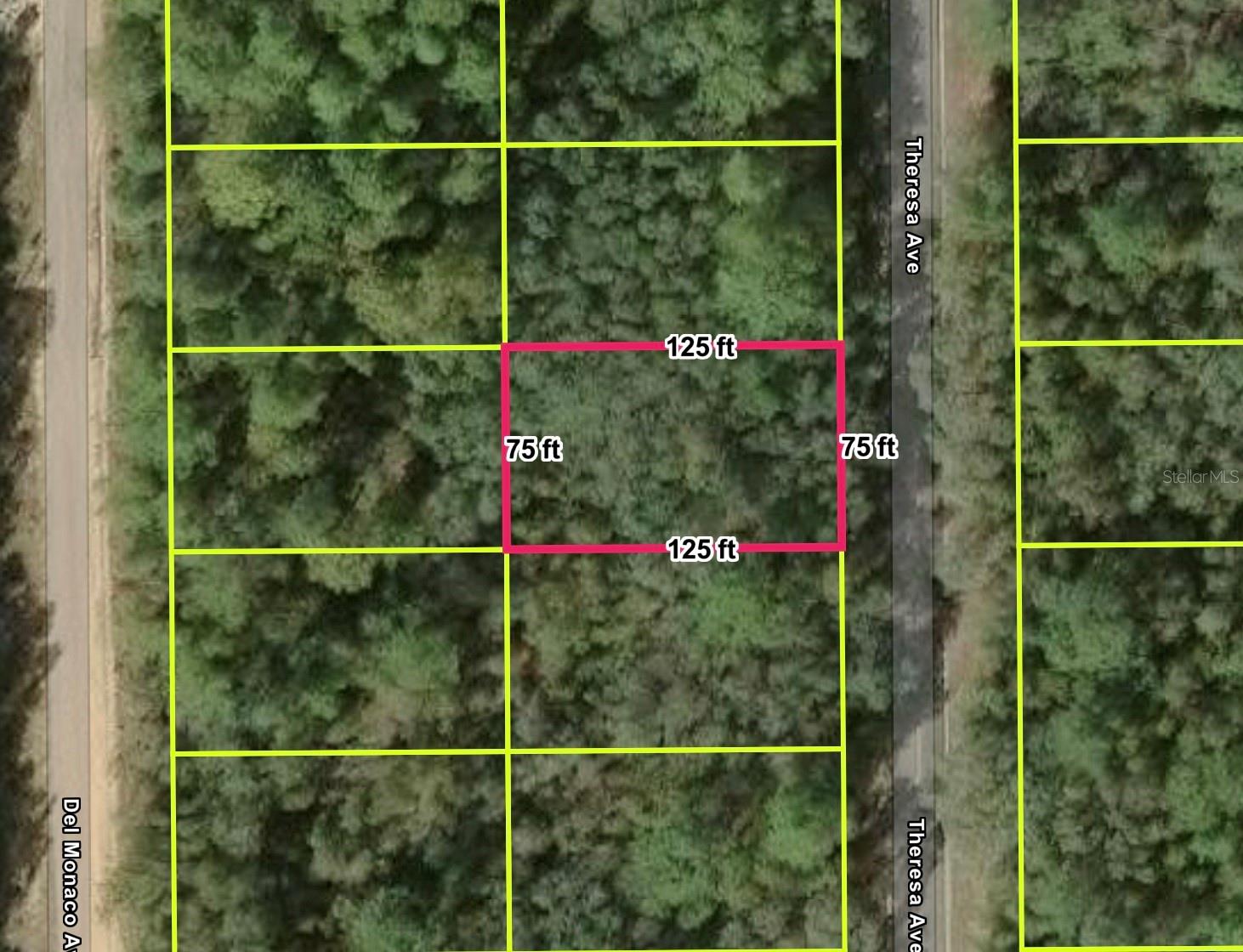 , INTERLACHEN, FL