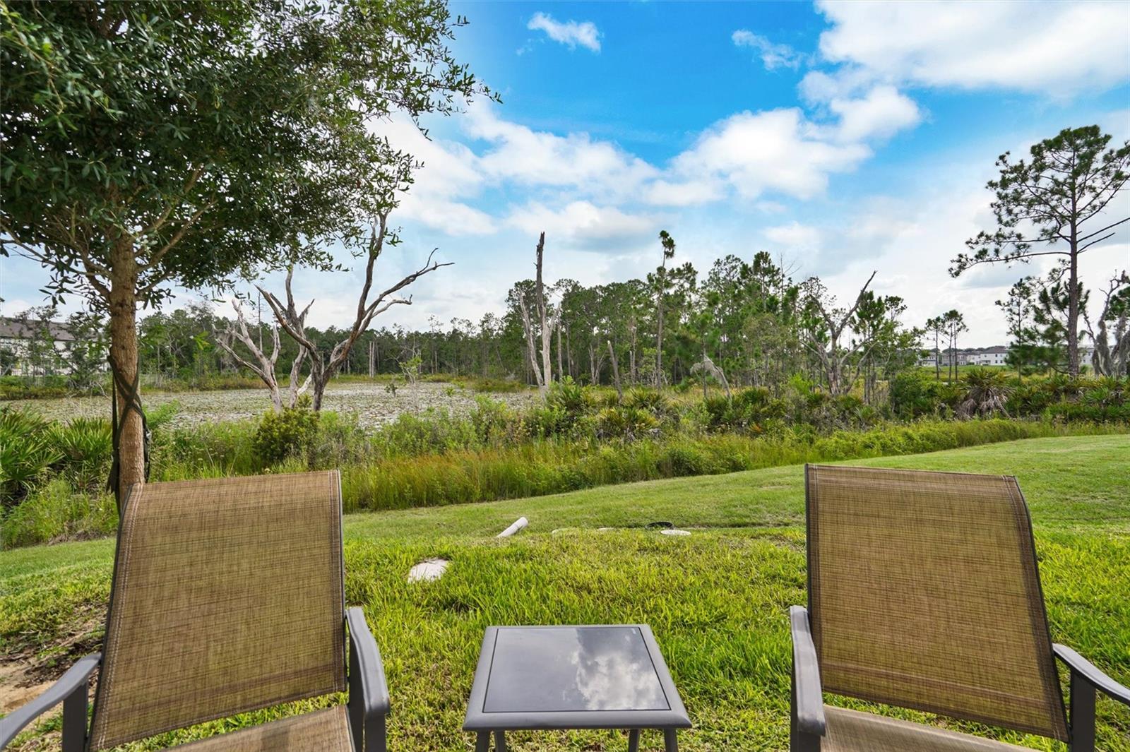 1056 PLANTATION LN, DAVENPORT, FL — photo 11