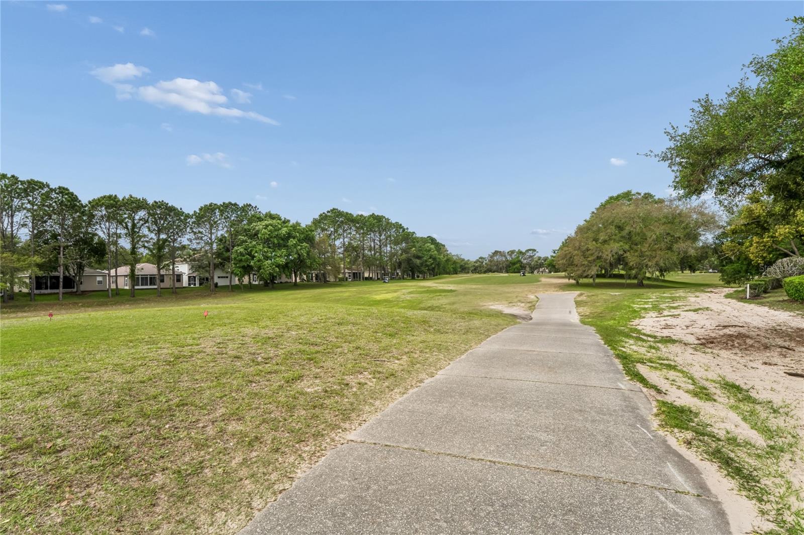14466 TAMARIND LOOP, SPRING HILL, FL — photo 47