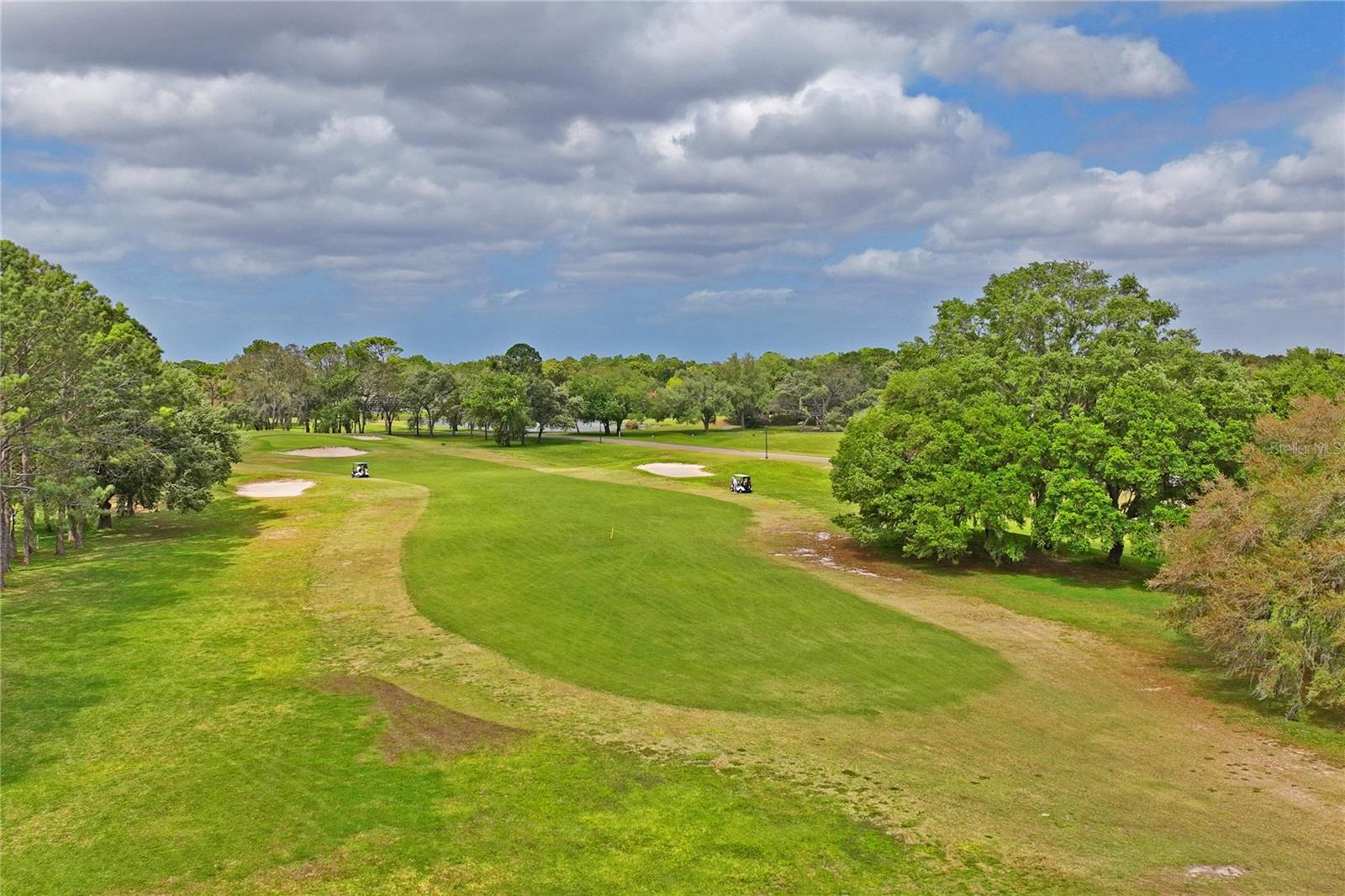 14466 TAMARIND LOOP, SPRING HILL, FL — photo 48