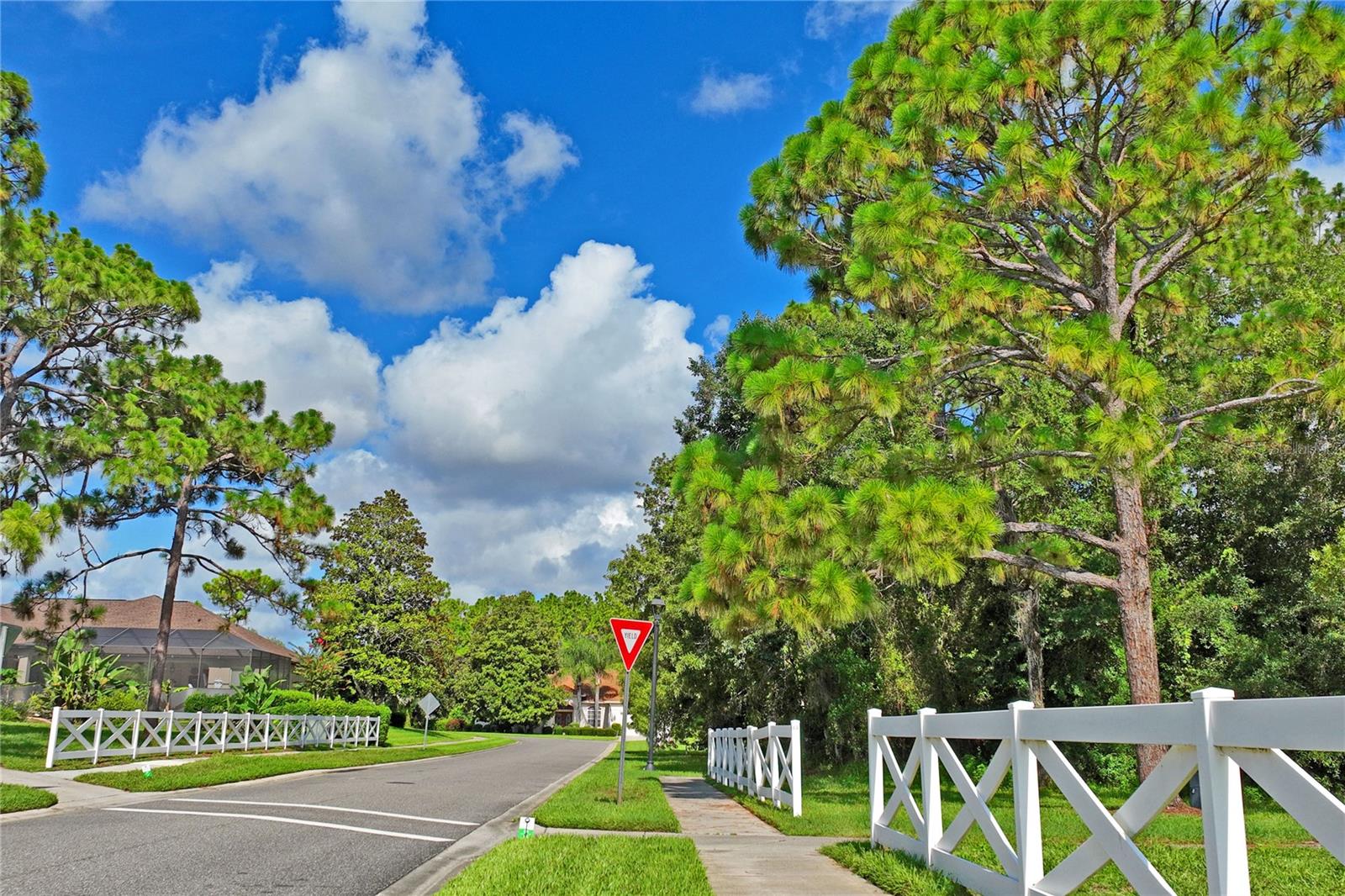 14466 TAMARIND LOOP, SPRING HILL, FL — photo 58