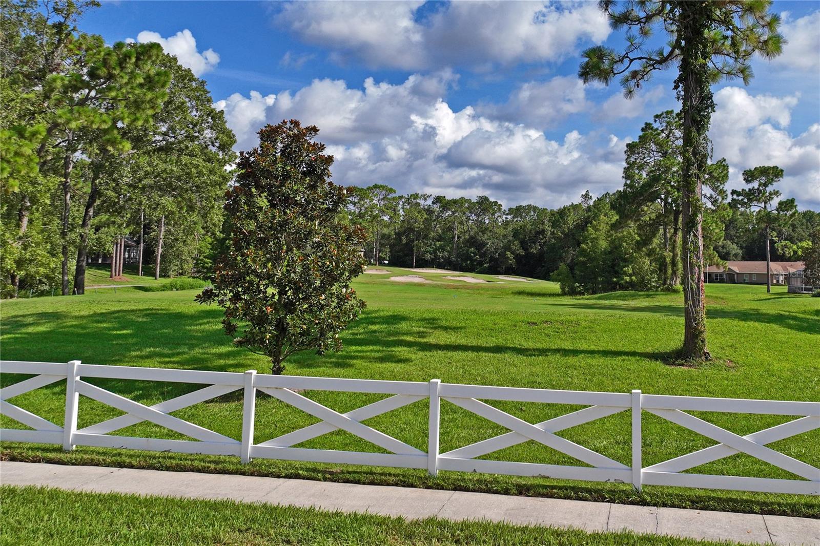 14466 TAMARIND LOOP, SPRING HILL, FL — photo 65